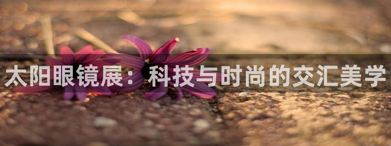 卧龙娱乐下7O667