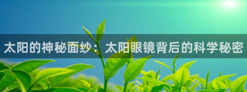 we娱乐 卧龙股东60447