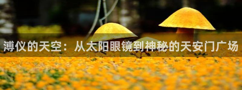 卧龙凤雏娱乐夫妻