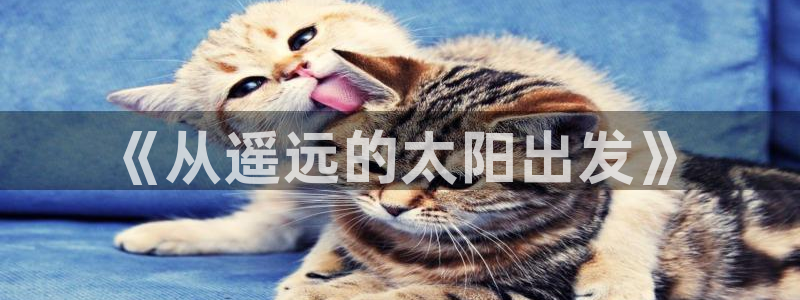 卧龙休闲娱乐收藏榜