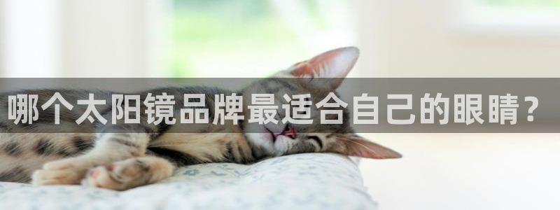 卧龙娱乐老板是谁呀视频