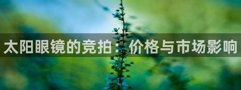 卧龙沙滩蹦床娱乐