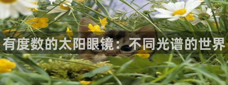 卧龙娱乐属于哪个集团