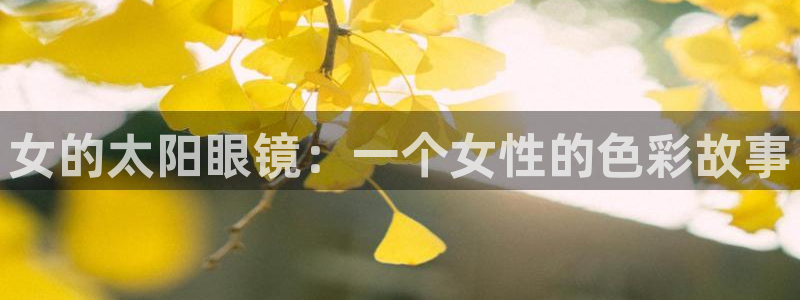 卧龙娱乐总代理是谁呀