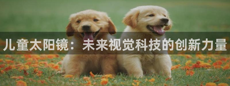 绥阳卧龙湖娱乐场所