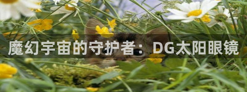 太和卧龙娱乐会所