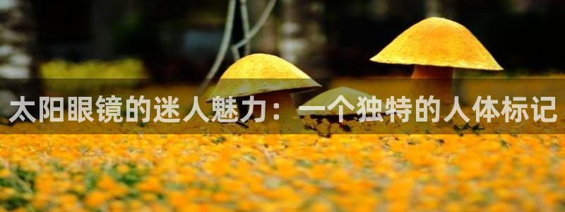 卧龙湖娱乐设施