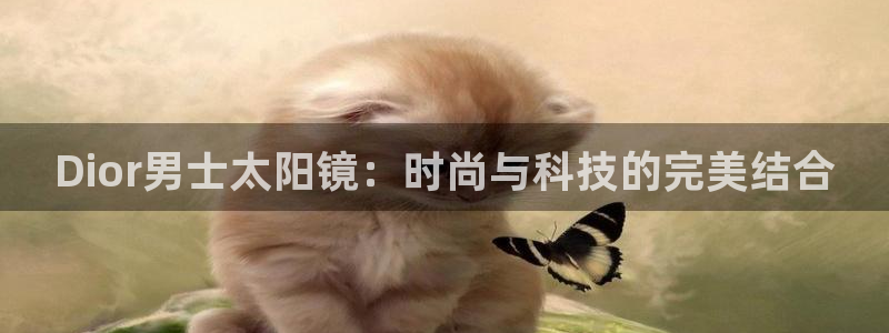 卧龙娱乐属于什么行业