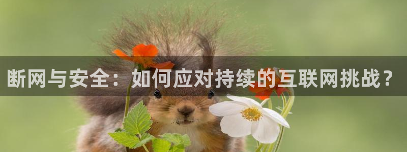 卧龙休闲娱乐收藏榜