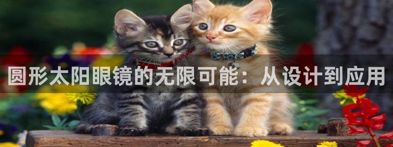 卧龙娱乐属于哪个集团