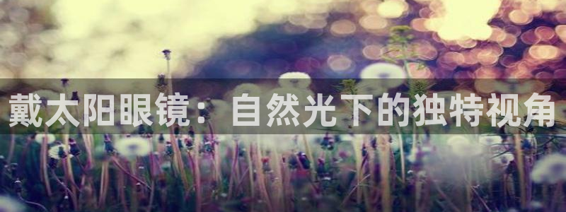 pt娱乐 卧龙招商60447