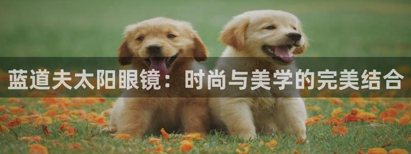 SKY娱乐卧龙招商60447