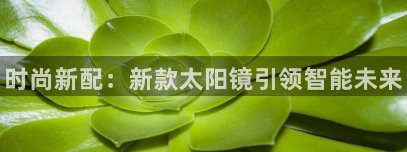 卧龙娱乐app彩票