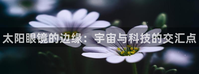 卧龙凤雏娱乐 小辣椒