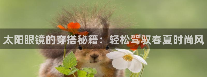 南阳卧龙水之梦娱乐会所