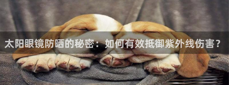 南阳卧龙娱乐会所评价