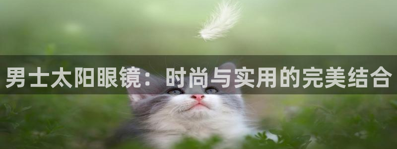 卧龙凤雏娱乐直播