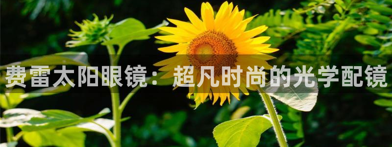 卧龙娱乐在线直播网站