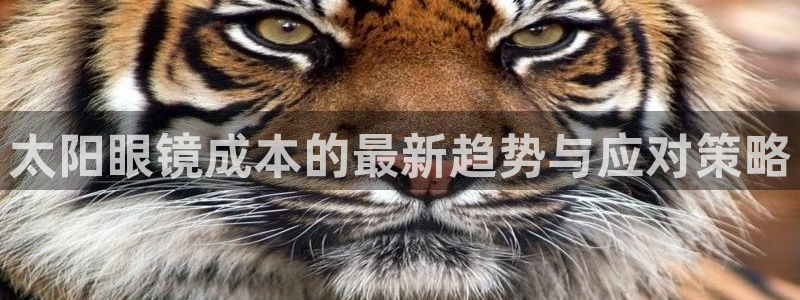 卧龙娱乐官网