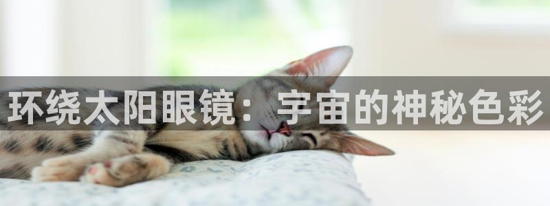 卧龙传统娱乐团购