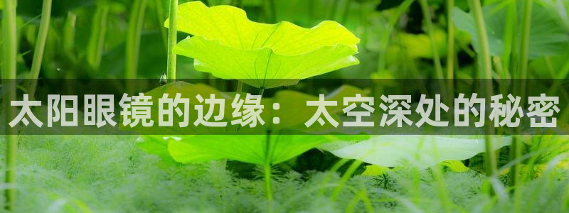 ta娱乐 卧龙股东60447
