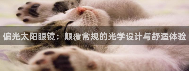 卧龙区娱乐会所