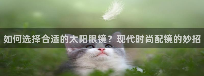卧龙娱乐总代理是谁呀