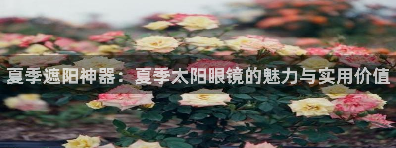 wow卧龙娱乐集团