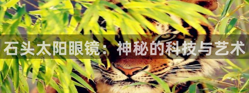 卧龙娱乐彩票官网下载