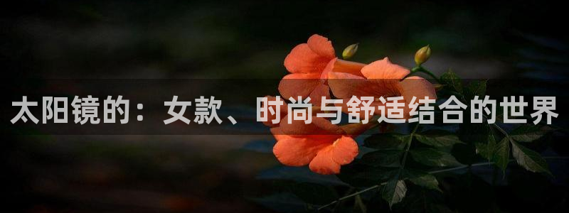 柏林娱乐 柏林卧龙 0