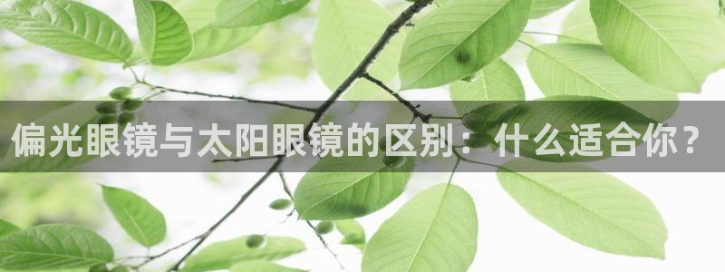 pt娱乐 卧龙招商60447