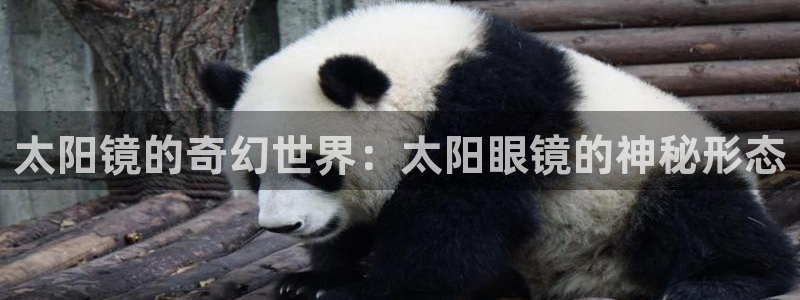 卧龙娱乐下