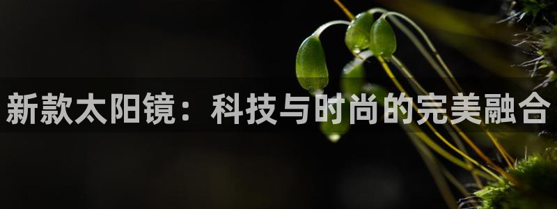 卧龙2神机娱乐代理
